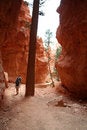 Free Hikers On Desert Trail Royalty Free Stock Image - 1454686