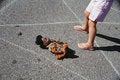 Free Girl And A Coloured Doll Stock Images - 1458864
