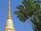 Free Temple In Bangkok Royalty Free Stock Photos - 1454968