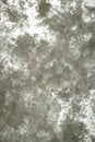 Free Abstract  Gray  Background Royalty Free Stock Photos - 14527208