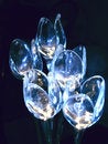 Free Glass Flowers In Blue Stock Photography - 1461832