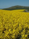 Free Cap Blanc Nez Royalty Free Stock Image - 1467416