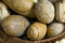 Free Breads 3 Royalty Free Stock Image - 1460106