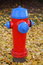 Free Fire Hydrant 1 Royalty Free Stock Photos - 1464858