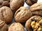 Free Nuts I Stock Images - 1465384