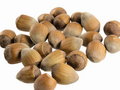 Free Hazel Nuts Royalty Free Stock Photo - 1470165