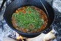 Free Outdoor Cooking Stock Photography - 14726212