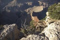 Free Grand Canyon From Hopi Point Royalty Free Stock Image - 1482086
