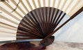 Free Decorative Fan Royalty Free Stock Photo - 1483165