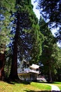 Free Historic Wawona Hotel, Yosemite National Park Stock Photos - 1486493