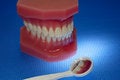Free Oral Health Stock Image - 1486621