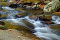 Free Stream 2 In State Park Stock Images - 1488124