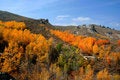 Free Cat Creek Autumn 2 Royalty Free Stock Photos - 1488338