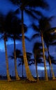 Free Coconut Resort Stock Images - 1488564