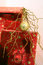 Free Christmas Presents Series 1 - Boxes And Ornaments6 Stock Photography - 1483322