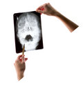 Free X-ray Shot Stock Photo - 1490250