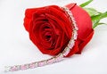 Free Red Rose And Jewel Stock Photos - 1494213