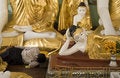 Free Buddha Dreams Royalty Free Stock Photography - 1494807