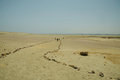 Free Excursion In Paracas National Park Royalty Free Stock Photos - 1498558