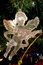 Free Crystal Angel Stock Photo - 1494560