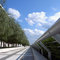 Free Parapet Stock Image - 1496331