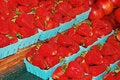 Free Baskets Of Strawberries Royalty Free Stock Photos - 14901328