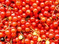Free Currants 1 Stock Image - 155191
