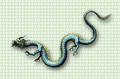 Free Oriental Dragon On Weave Background Royalty Free Stock Image - 155906