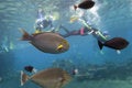 Free FishDive Stock Photography - 1503322