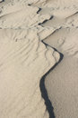 Free Sand Dune Ridge Stock Photography - 1505732