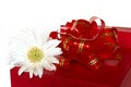 Free Red Gift Box And White Flower Stock Image - 1505841