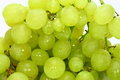 Free Grape Shot Stock Photography - 1508932