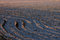 Free Plowed Wintery Field Royalty Free Stock Images - 1504559