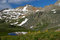 Free Wildflowers And Pond At Yankee Boy Basin Royalty Free Stock Photo - 1506355
