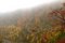 Free Autumn Mist Stock Images - 1507144