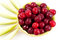 Free Melon With Cherry Salad Stock Photography - 15004382