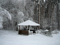 Free Winter Stock Photography - 1510662