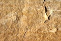Free Face Of Stone Royalty Free Stock Photos - 1519878
