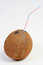 Free COCONUT DRINK Royalty Free Stock Photos - 1516258