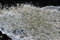 Free Sea Foam Stock Image - 1519011