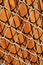 Free Wooden Panels Behind A Lattice Royalty Free Stock Photography - 15152937