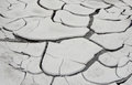 Free Cracked Dried Up Soil Stock Images - 15167654