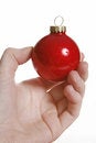 Free Red Bulb Royalty Free Stock Photo - 1523415