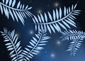 Free Background Stock Photo - 1525630