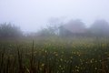 Free Foggy Countryside Stock Photography - 1526022