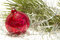 Free Christmas Ball And Tinsel Stock Photography - 1521512