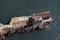 Free Custom House Under Golden Gate Bridge Royalty Free Stock Images - 1526749