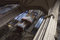 Free Cologne Cathedral Organ Royalty Free Stock Photos - 1528138