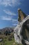 Free Castle Hill, New Zealand Royalty Free Stock Photo - 1528475