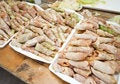 Free Stuffedcabbage Stock Images - 15223694